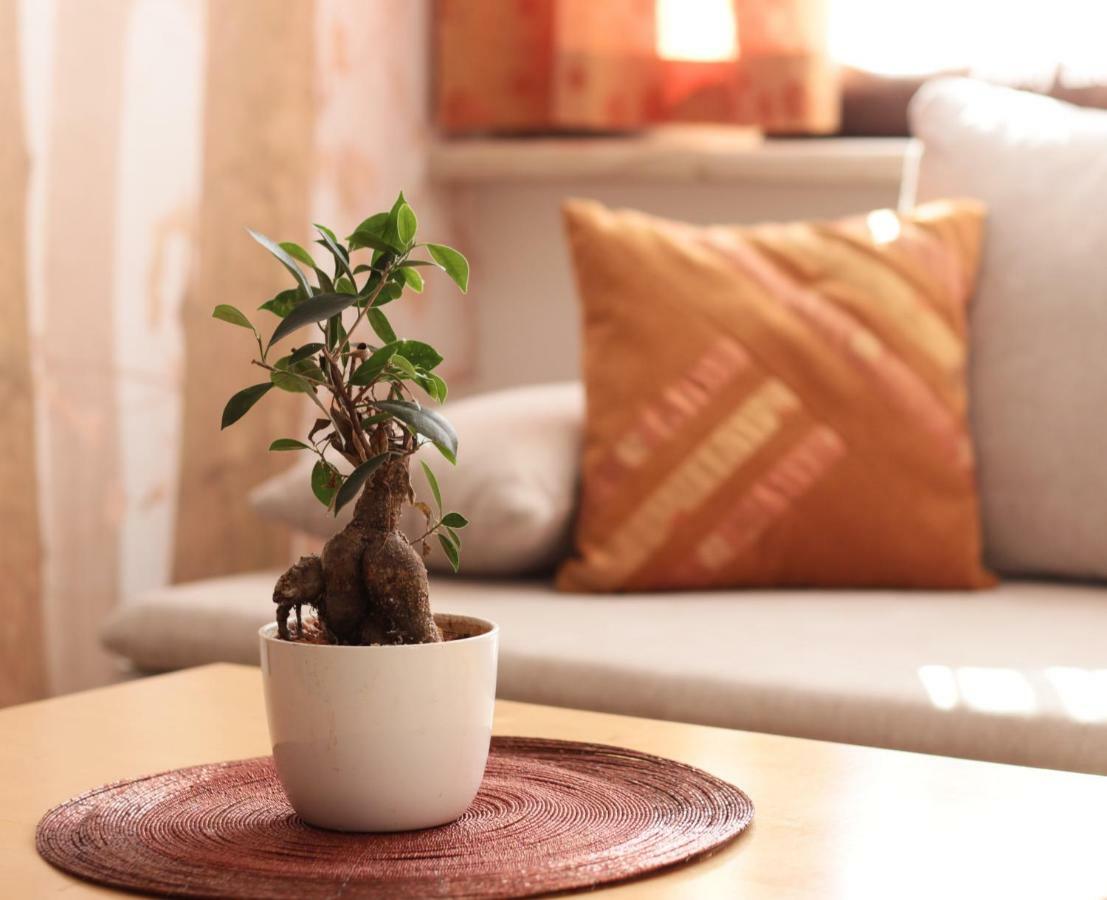 Baum Apartments 바트 타츠만스도르프 외부 사진